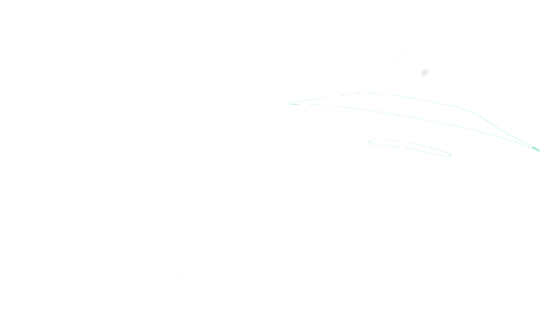 Ay! Un ovni